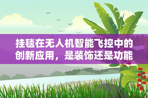 挂毯在无人机智能飞控中的创新应用，是装饰还是功能升级？