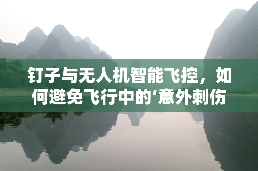 钉子与无人机智能飞控，如何避免飞行中的‘意外刺伤’？