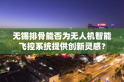 无锡排骨能否为无人机智能飞控系统提供创新灵感？