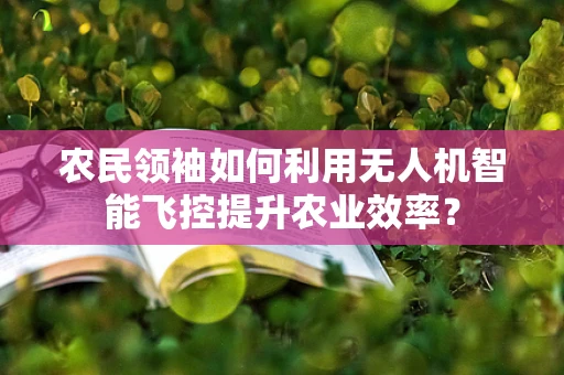 农民领袖如何利用无人机智能飞控提升农业效率？