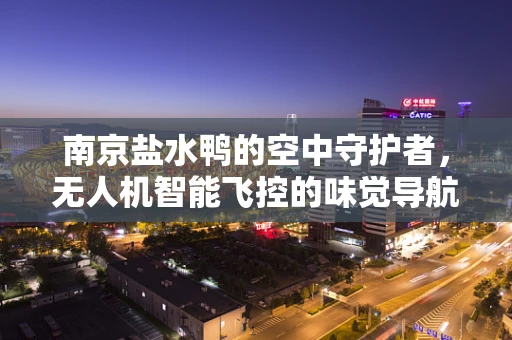 南京盐水鸭的空中守护者，无人机智能飞控的味觉导航挑战