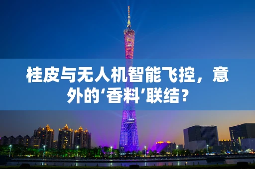 桂皮与无人机智能飞控，意外的‘香料’联结？