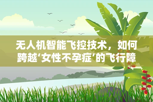 无人机智能飞控技术，如何跨越‘女性不孕症’的飞行障碍？