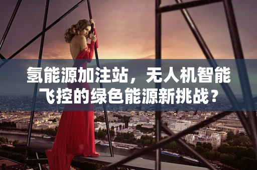 氢能源加注站，无人机智能飞控的绿色能源新挑战？