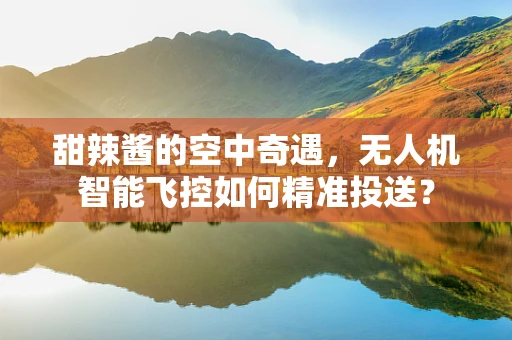甜辣酱的空中奇遇，无人机智能飞控如何精准投送？