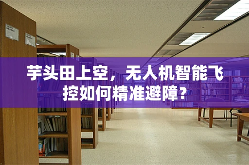 芋头田上空，无人机智能飞控如何精准避障？