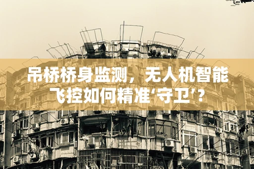 吊桥桥身监测，无人机智能飞控如何精准‘守卫’？
