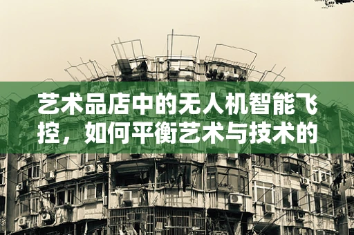 艺术品店中的无人机智能飞控，如何平衡艺术与技术的和谐？