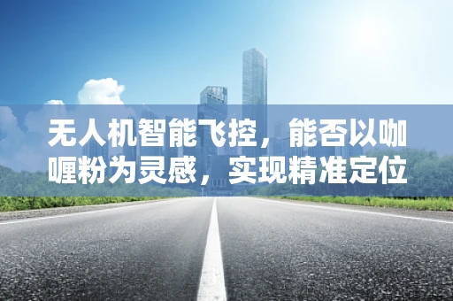 无人机智能飞控，能否以咖喱粉为灵感，实现精准定位与避障？