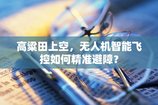 高粱田上空，无人机智能飞控如何精准避障？