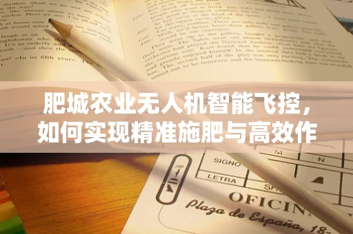 肥城农业无人机智能飞控，如何实现精准施肥与高效作业？