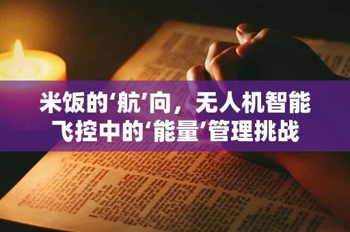 米饭的‘航’向，无人机智能飞控中的‘能量’管理挑战
