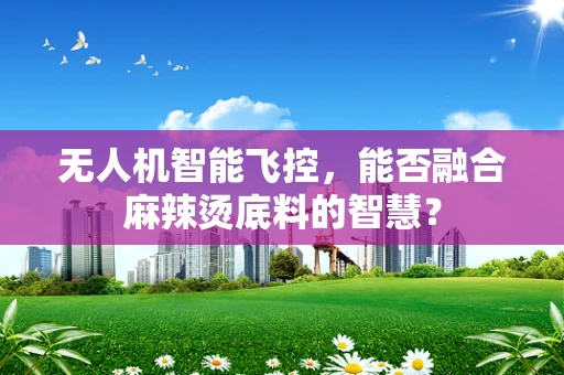无人机智能飞控，能否融合麻辣烫底料的智慧？
