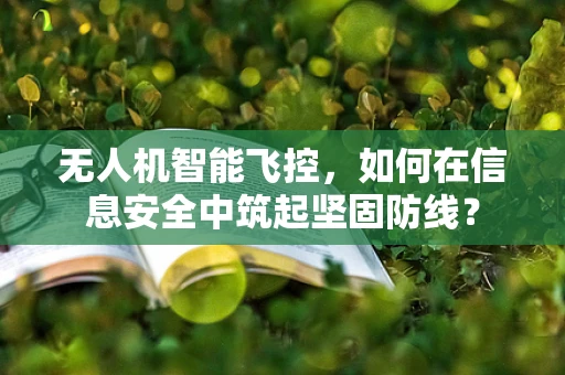无人机智能飞控，如何在信息安全中筑起坚固防线？