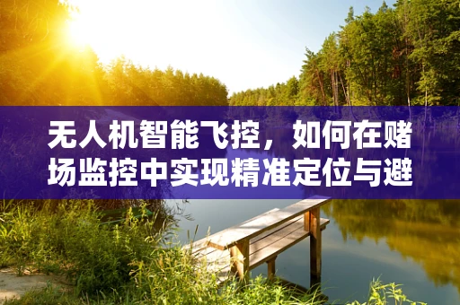 无人机智能飞控，如何在赌场监控中实现精准定位与避障？