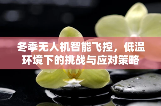 冬季无人机智能飞控，低温环境下的挑战与应对策略