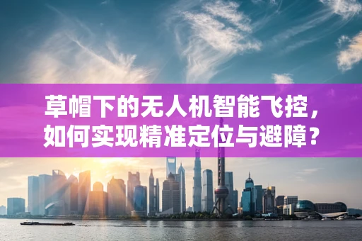 草帽下的无人机智能飞控，如何实现精准定位与避障？