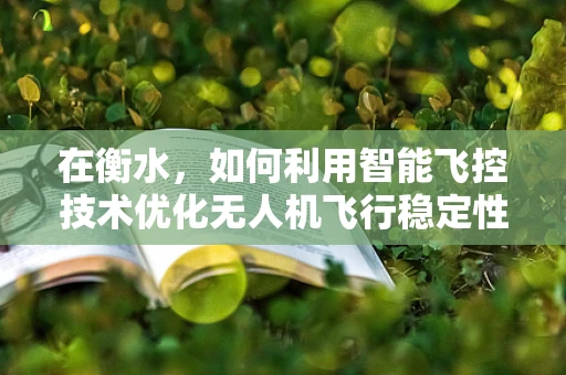 在衡水，如何利用智能飞控技术优化无人机飞行稳定性？