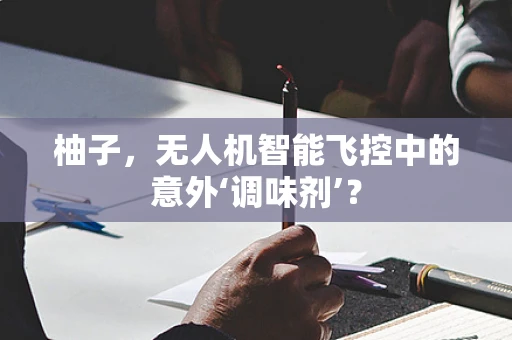 柚子，无人机智能飞控中的意外‘调味剂’？