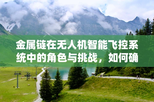 金属链在无人机智能飞控系统中的角色与挑战，如何确保其稳定性和安全性？