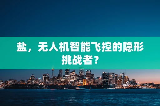 盐，无人机智能飞控的隐形挑战者？