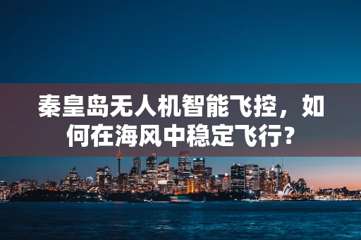 秦皇岛无人机智能飞控，如何在海风中稳定飞行？