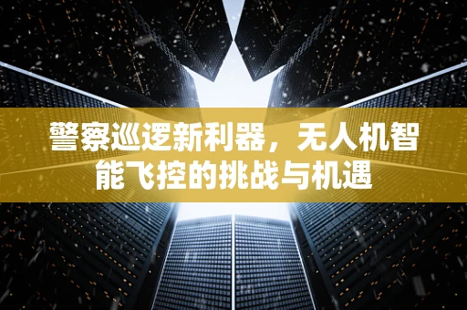 警察巡逻新利器，无人机智能飞控的挑战与机遇