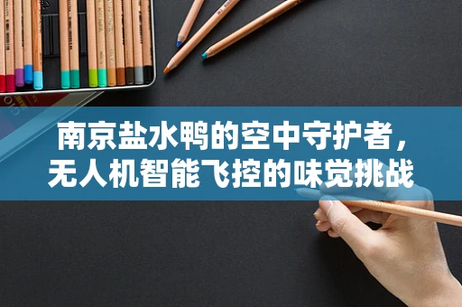 南京盐水鸭的空中守护者，无人机智能飞控的味觉挑战