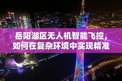 岳阳湖区无人机智能飞控，如何在复杂环境中实现精准导航？