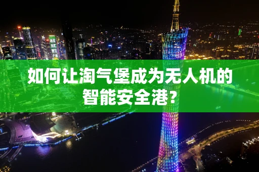 如何让淘气堡成为无人机的智能安全港？