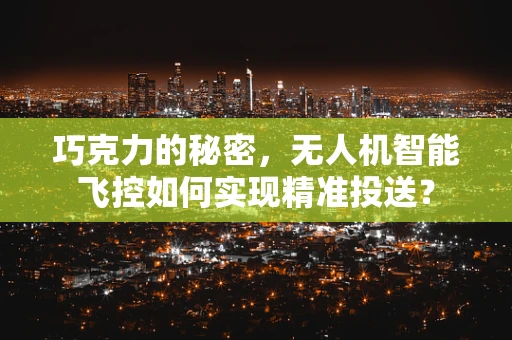 巧克力的秘密，无人机智能飞控如何实现精准投送？