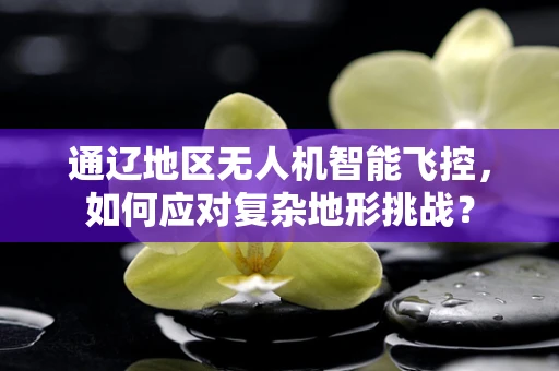 通辽地区无人机智能飞控，如何应对复杂地形挑战？