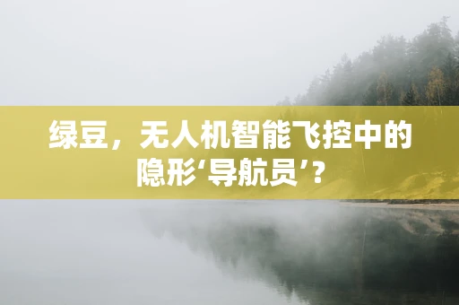 绿豆，无人机智能飞控中的隐形‘导航员’？