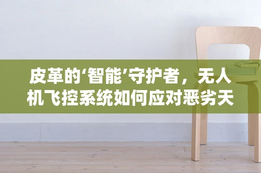 皮革的‘智能’守护者，无人机飞控系统如何应对恶劣天气中的挑战？