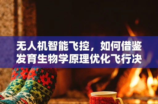 无人机智能飞控，如何借鉴发育生物学原理优化飞行决策？