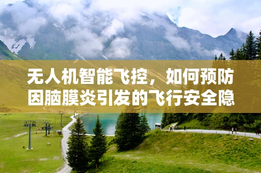 无人机智能飞控，如何预防因脑膜炎引发的飞行安全隐患？