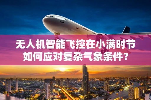 无人机智能飞控在小满时节如何应对复杂气象条件？