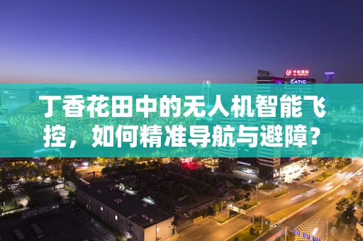 丁香花田中的无人机智能飞控，如何精准导航与避障？