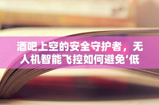 酒吧上空的安全守护者，无人机智能飞控如何避免‘低空碰撞’？