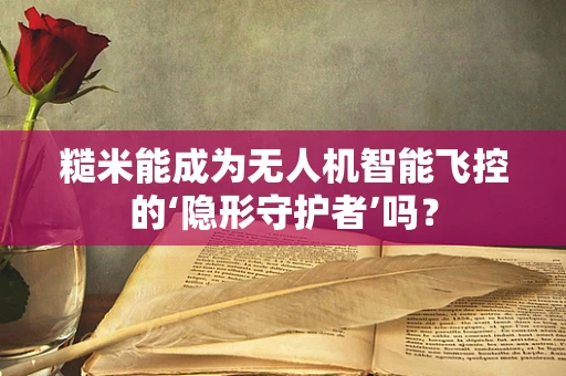 糙米能成为无人机智能飞控的‘隐形守护者’吗？
