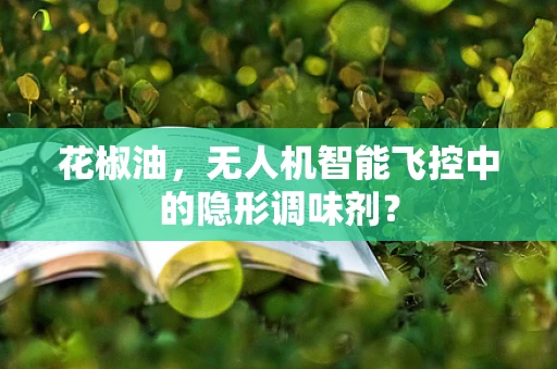 花椒油，无人机智能飞控中的隐形调味剂？