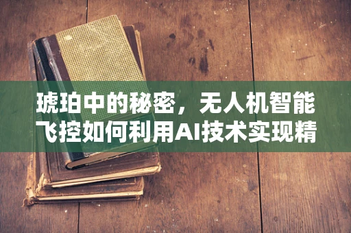 琥珀中的秘密，无人机智能飞控如何利用AI技术实现精准导航？