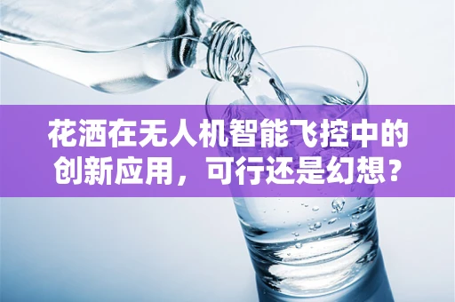花洒在无人机智能飞控中的创新应用，可行还是幻想？