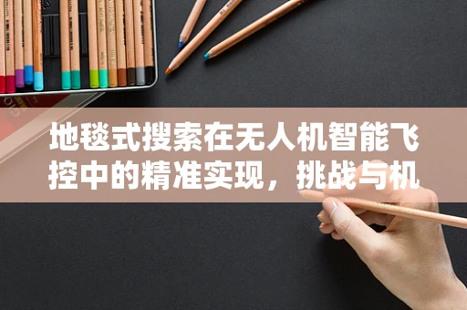 地毯式搜索在无人机智能飞控中的精准实现，挑战与机遇