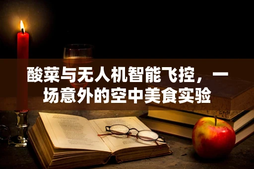 酸菜与无人机智能飞控，一场意外的空中美食实验