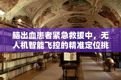 脑出血患者紧急救援中，无人机智能飞控的精准定位挑战