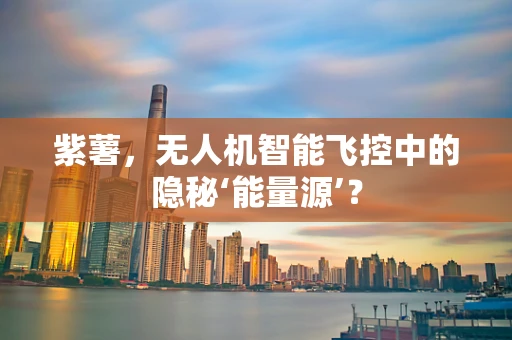 紫薯，无人机智能飞控中的隐秘‘能量源’？