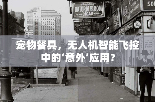 宠物餐具，无人机智能飞控中的‘意外’应用？
