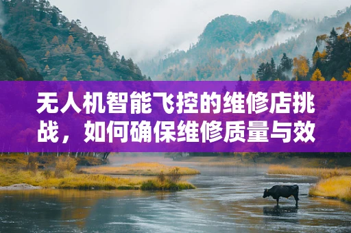 无人机智能飞控的维修店挑战，如何确保维修质量与效率？