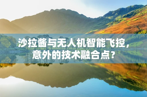 沙拉酱与无人机智能飞控，意外的技术融合点？